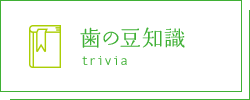 歯の豆知識