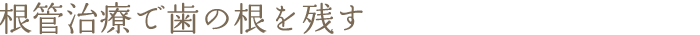 根管治療で歯の根を残す