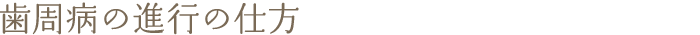 歯周病の進行の仕方